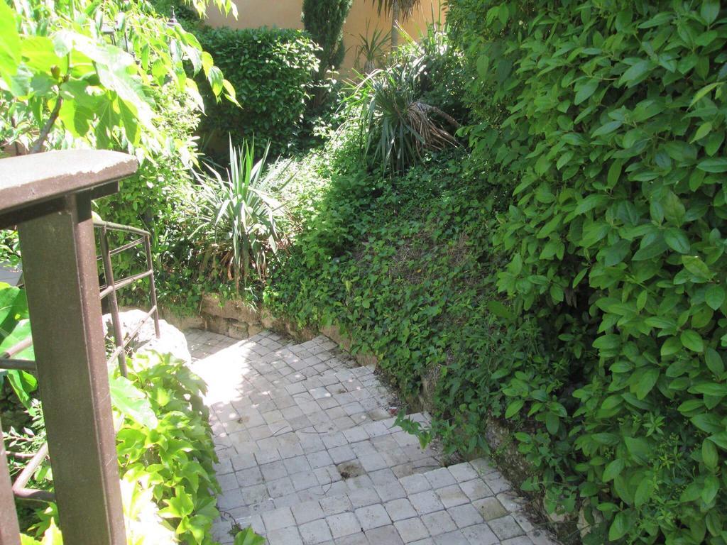 Les Chambres Du Moulin A Huile Vaison-la-Romaine Exterior foto